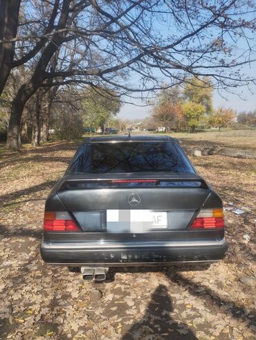 кран токмок: Mercedes-Benz W124: 1990 г., 2.3 л, Механика, Газ, Седан