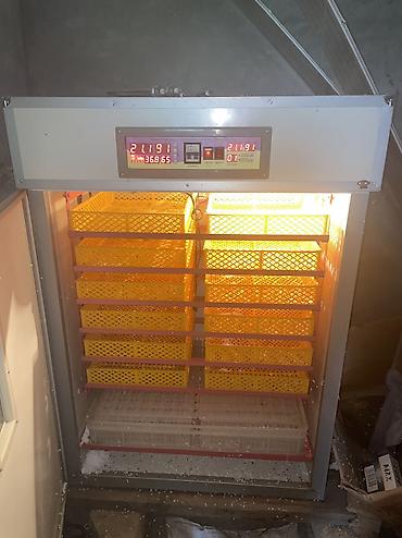 mini elektrik sobasi: İnkubator satılır, yenidir 1 il istifadə olunub, üzərində elektrik — 1