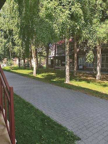 кв 2 комнатный: 2 комнаты, 40 м², 1 этаж, Евроремонт — 2