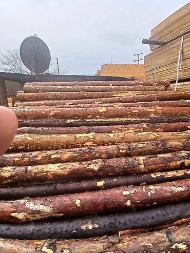 şam: Məhsul: Şam ağacından yumru dirəklər və taxta materialları Təsvir: - — 2