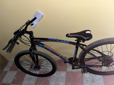 Şəhər velosipedləri: Aurus velosiped. Problemleri odurki tormozdan bir az ses gelir, bir — 1