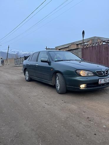 состояния отличное: Nissan Primera: 2000 г., 1.8 л, Механика, Бензин, Седан — 2