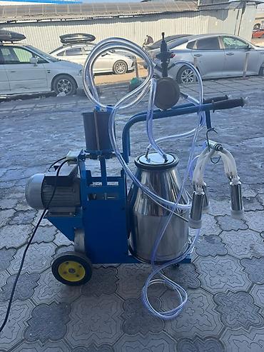 Товары и оборудование для с/х животных: Доильный аппарат на тележке для коров Описание: - Мобильная установка — 5