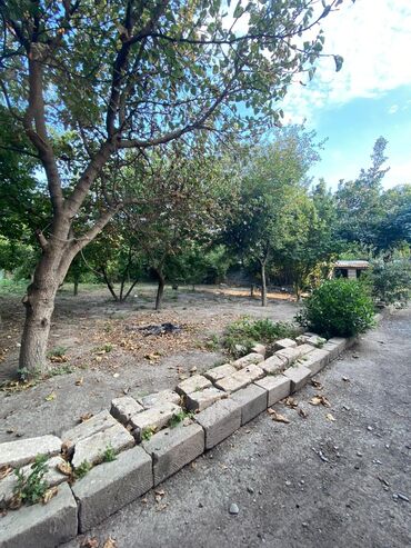 Həyət evləri və villaların satışı: 3 otaqlı, 146 kv. m, Kredit yoxdur, Orta təmir — 3