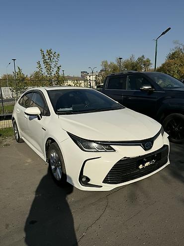 honda corolla: Toyota Corolla: 2020 г., 1.8 л, Вариатор, Гибрид, Седан — 6