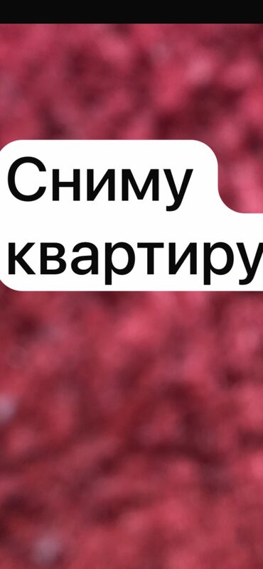 дом аламидин 1: 50 м², 1 комната