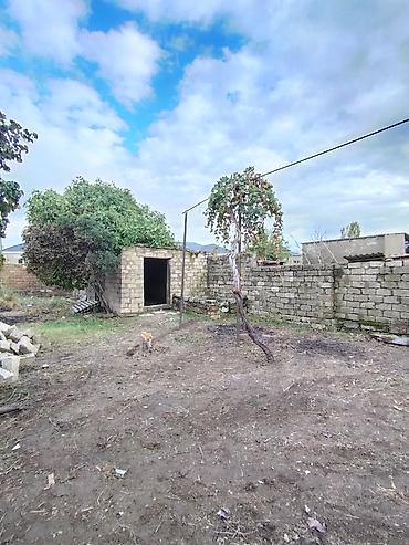 torpag satilir: 4 sot, Tikinti, Mülkiyyətçi, Kupça (Çıxarış) — 3