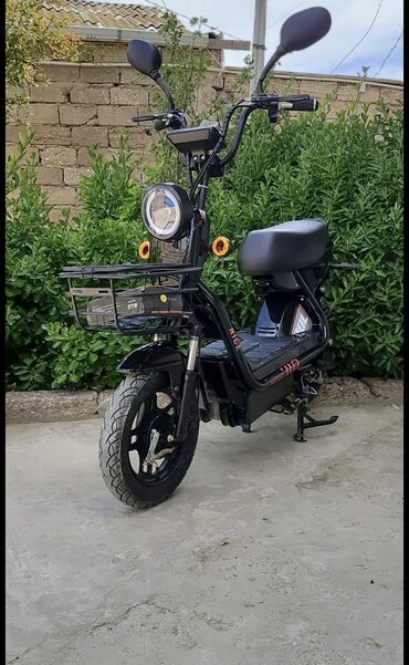 Motonəqliyyatın icarəsi: 50 sm3, 2024 il