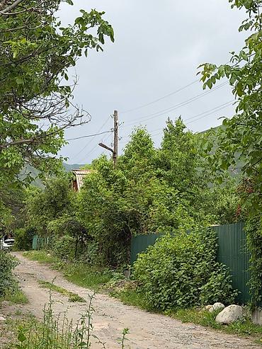 Продажа дач: 📍с.Кой-Таш 🔘5,2 сотки 🔘28м² 🔘2-комнаты Продаётся дача в живописном — 3