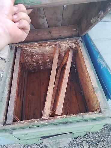 arı yuvası: Arı pətəkləri və avadanlıqları - Material: taxta korpus, sink/metal — 3