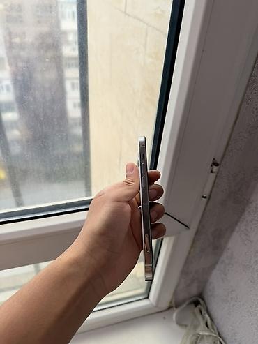 epson l3318: IPhone 12 Pro, цвет Silver (белый/серебристый)71%акб(родной) Отлично — 3