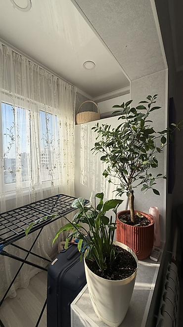 Продажа квартир: Студия, 37 м², Вефа ТЦ 9 этаж — 15