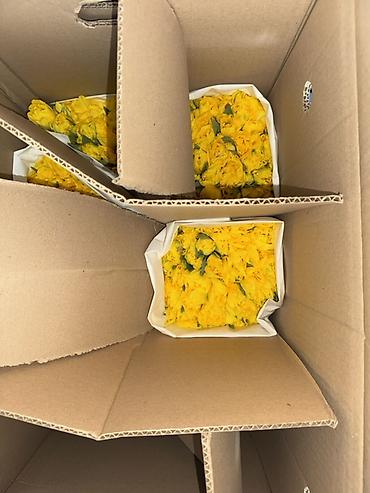 Букеты из живых цветов: Премиальные импортные тюльпаны Привозные тюльпаны лучшего качества — 2