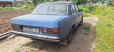 мерс 124 2: Mercedes-Benz W123: 1983 г., 2 л, Механика, Дизель, Седан — 8