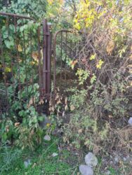 Продажа участков: 5 соток, Для строительства, Красная книга, Тех паспорт, Договор купли-продажи — 6