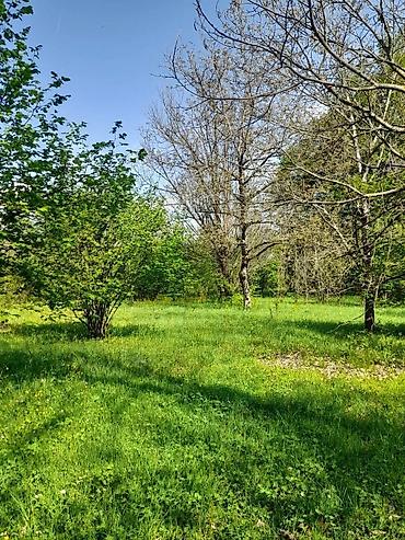 Torpaq sahələrinin satışı: 30 sot, Tikinti, Mülkiyyətçi, Kupça (Çıxarış) -da lalafo.az — 11 Torpaq sahələrinin satışı: 30 sot, Tikinti, Mülkiyyətçi, Kupça (Çıxarış) — 11