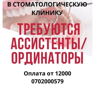 мед работник: Стоматолог. Белгиленген акы. Туңгуч мкр