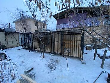 Үй жаныбарлары үчүн товарлар: Вольеры для собак кур, кошекбудка на заказ любой сложности — 10