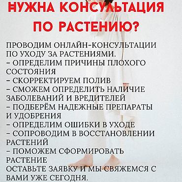 комн цветы: Если вашему растению нужна пересадка или помощь Фитоняни, пишите! А — 8