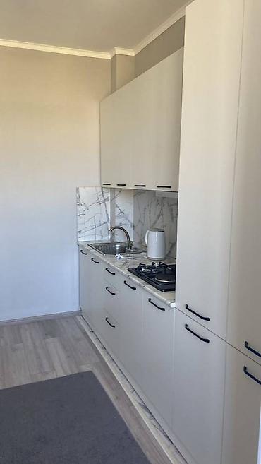 Продажа квартир: 1 комната, 42 м², Асанбай мкр Элитка, 11 этаж, Евроремонт — 4
