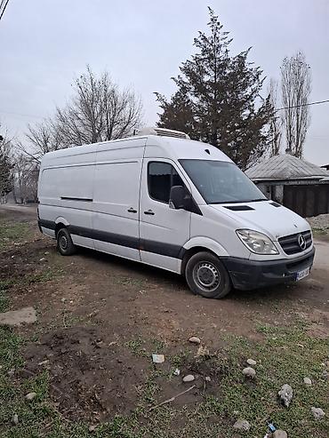 тигичу машина: Сейчас на кыргызских намерах Рефрижераторный фургон Mercedes-Benz — 6