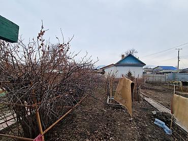 Продажа коттеджей и домов: Продаётся жилой дом с придомовой территорией и двором. Характеристики — 11