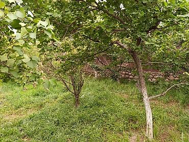 Продажа коттеджей и домов: ✅ Продается дом в Балыкчи (Иссык-Куль) ✅ 3 комнаты, участок 16 соток — 21