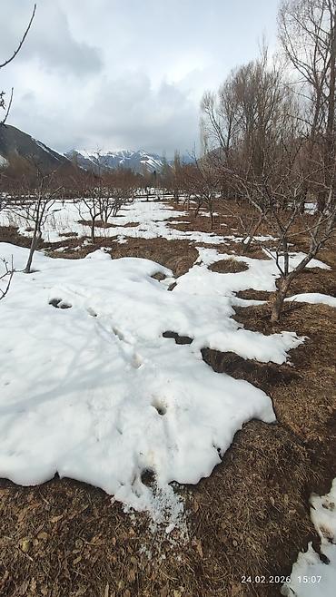 Продажа сельхоз предприятий: Питомник растений, 25 соток, Действующий, Частично с оборудованием, Без коммуникаций — 9