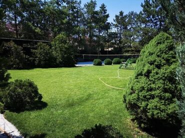 Долгосрочная аренда домов: 500 м², 2 комнаты, Евроремонт — 1