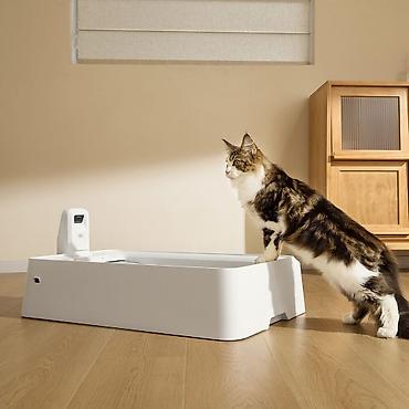 pişik şəkilləri çəkmək: 🐱 Petkit Purobot Crystal Duo With Camera (P9905) – Ağıllı Özünü — 2