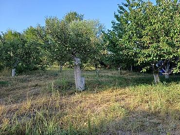 Продажа коттеджей и домов: Дом на Иссык-Куле!!! Продается просторный дом на участке 36 сотых at lalafo.kg — 29 Продажа коттеджей и домов: Дом на Иссык-Куле!!! Продается просторный дом на участке 36 сотых — 29