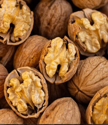 лесной орех: Продаю грецкие орехи 100 сом кг