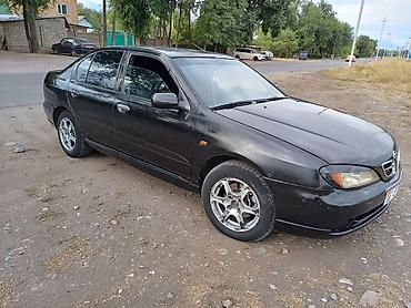 su 7: Nissan Primera: 2001 г., 1.8 л, Механика, Бензин, Седан — 3