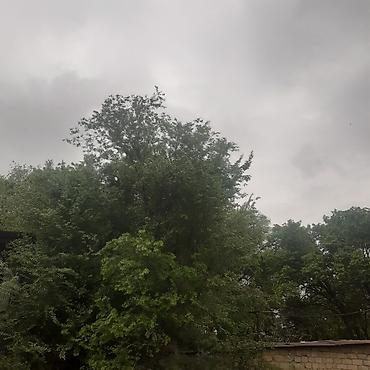 Продажа дач: Продается дача в ТС Бек тоо — 1