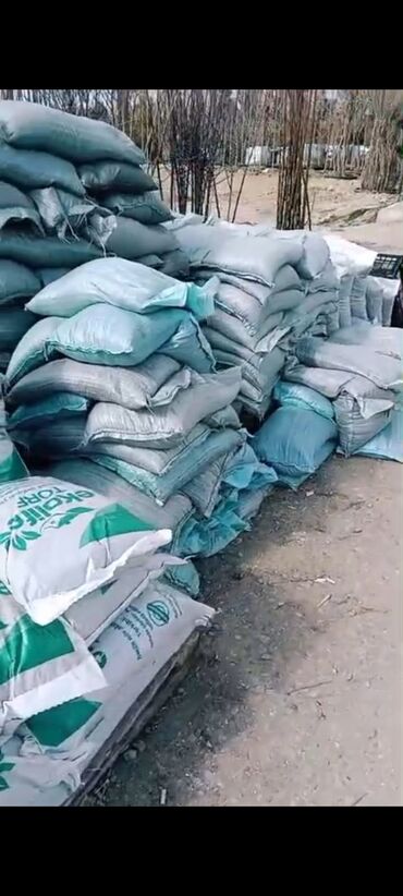 Torf: Bağçılıq və istixana üçün torf substratları və əkin kasseti — 25