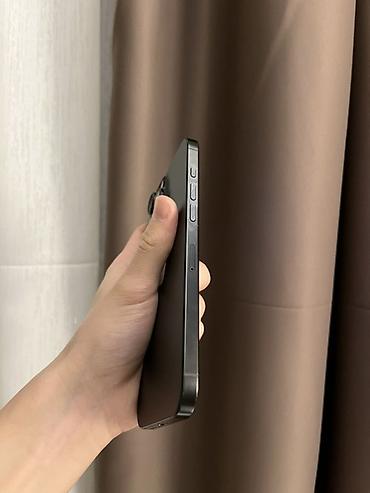 Apple iPhone: IPhone 16 Pro Max, 256 ГБ, Natural Titanium — 8