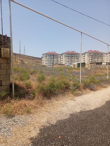 bine atciliqda: 3 sot, Biznes üçün, Maklerlər narahat etməsin, Bələdiyyə, Müqavilə — 5