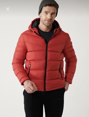 купить кожаную куртку в баку: Kurtka, Bolonka, Qış, Avva, M (EU 38)