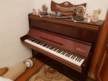 royal cat jakne: Piano, Takamine, Akustik, İşlənmiş, Ünvandan götürmə