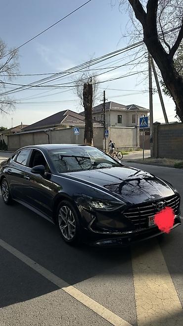 sonata: Hyundai Sonata: 2019 г., 2 л, Бензин — 1