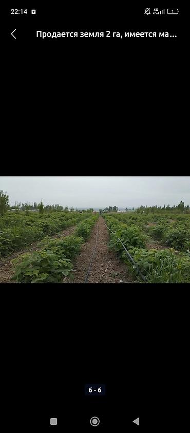 Продажа участков: 200 соток, Для бизнеса, Договор купли-продажи at lalafo.kg — 18 Продажа участков: 200 соток, Для бизнеса, Договор купли-продажи — 18