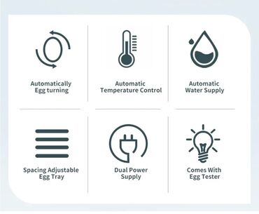 Oprema za kućne ljubimce: INKUBATOR Automatski nove generacije za 40 jaja 12v/220v — 4