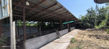 Продажа домов: Дом, 60 м², 4 комнаты, Собственник, Косметический ремонт — 4