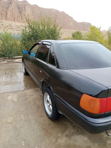 Audi: Audi 100: 1991 г., 2.3 л, Механика, Бензин, Седан — 4