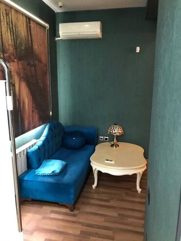 Digər kommersiya daşınmaz əmlakı: Nizami metrosunun yaxınlığında yerləşən 127 kv sahəsi olan təmirli — 12