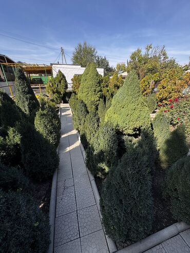 Продажа домов: Дом, 85 м², 4 комнаты, Собственник, Косметический ремонт — 3