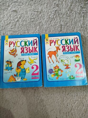 книга информатика 6 класс: Китептер, журналдар, CD, DVD