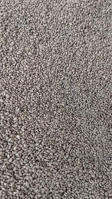 Другие виды семян и саженцев: 🌿Эспорцет үрөн урук 115 🌿Сатылат 🌿Дүң жана чекене 🌿Текшерүүдөн — 4