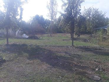 Torpaq sahələrinin satışı: 40 sot, Tikinti, Mülkiyyətçi, Kupça (Çıxarış) — 4