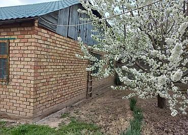 4: 🏡 Продается уютный 4-комнатный кирпичный дом 💰 Цена: 131 000 📍 г — 7